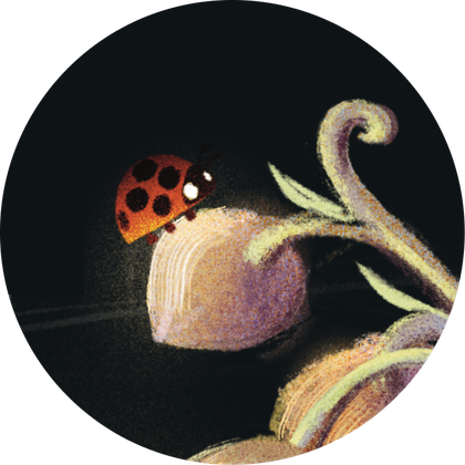 Ladybug resting on a flower bud
